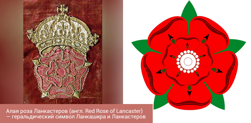 History of roses History of roses