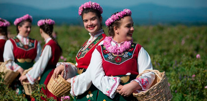 History of roses/История Роз History of roses/История Роз