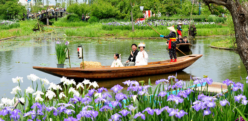 History of Iris/История Ириса History of Iris/История Ириса