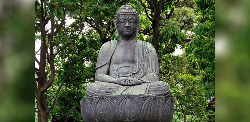 History of Lotos/История Лотоса History of Lotos/История Лотоса