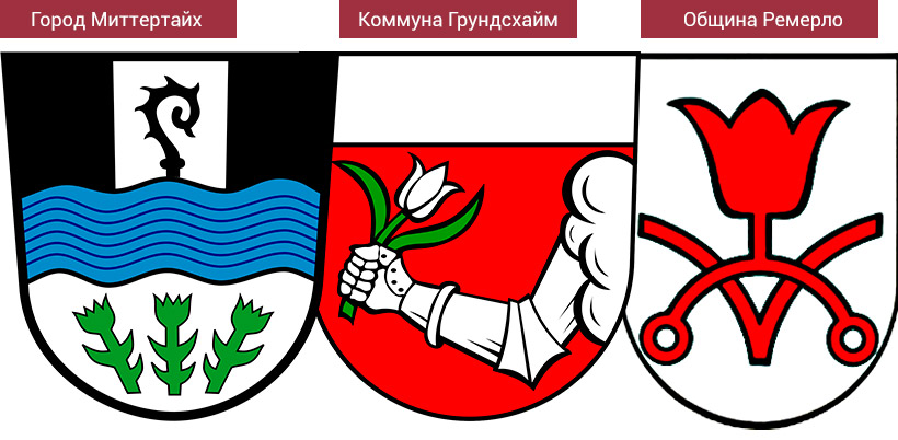 History of Tulip/История Тюльпана History of Tulip/История Тюльпана