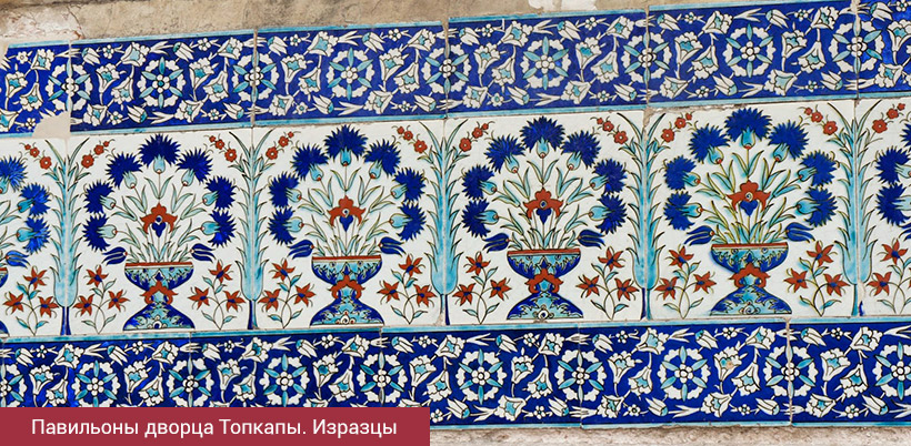 History of Tulip/История Тюльпана History of Tulip/История Тюльпана