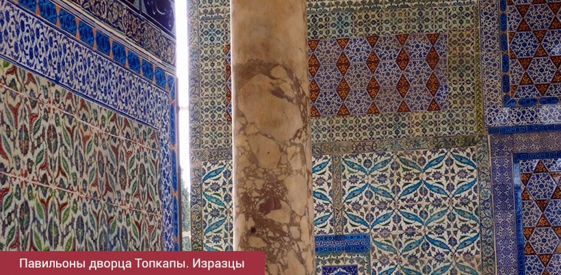 History of Tulip/История Тюльпана History of Tulip/История Тюльпана