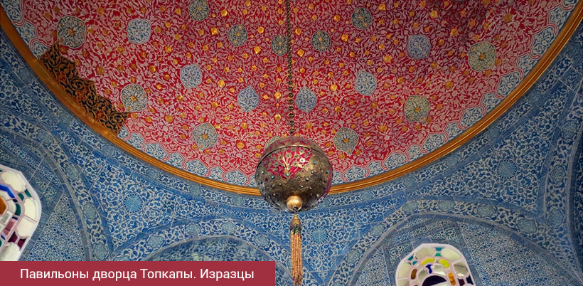 History of Tulip/История Тюльпана History of Tulip/История Тюльпана