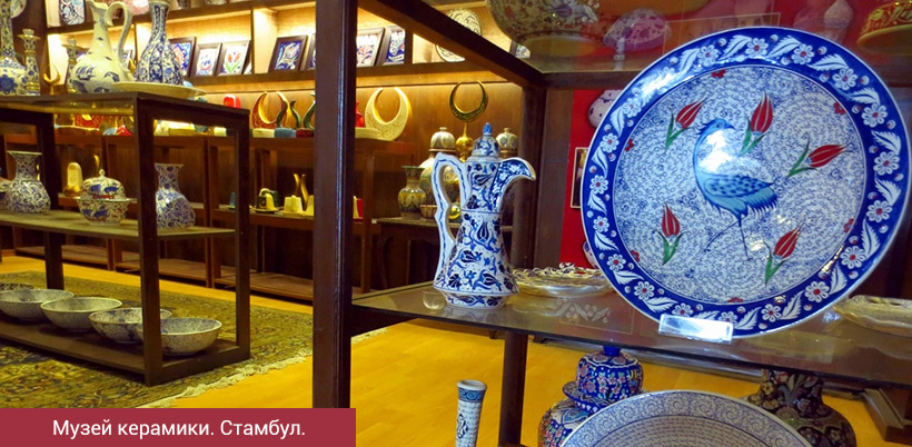 History of Tulip/История Тюльпана History of Tulip/История Тюльпана