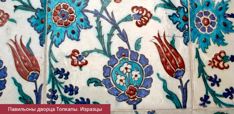 History of Tulip/История Тюльпана History of Tulip/История Тюльпана